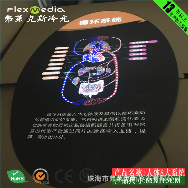 科技馆展馆新方案，人体八大系统－循环系统 EL冷光片，超薄灯箱