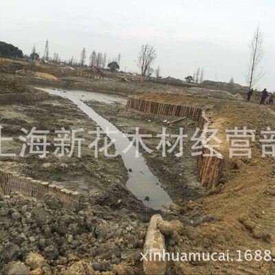 河道工程驳岸防汛松木桩批发