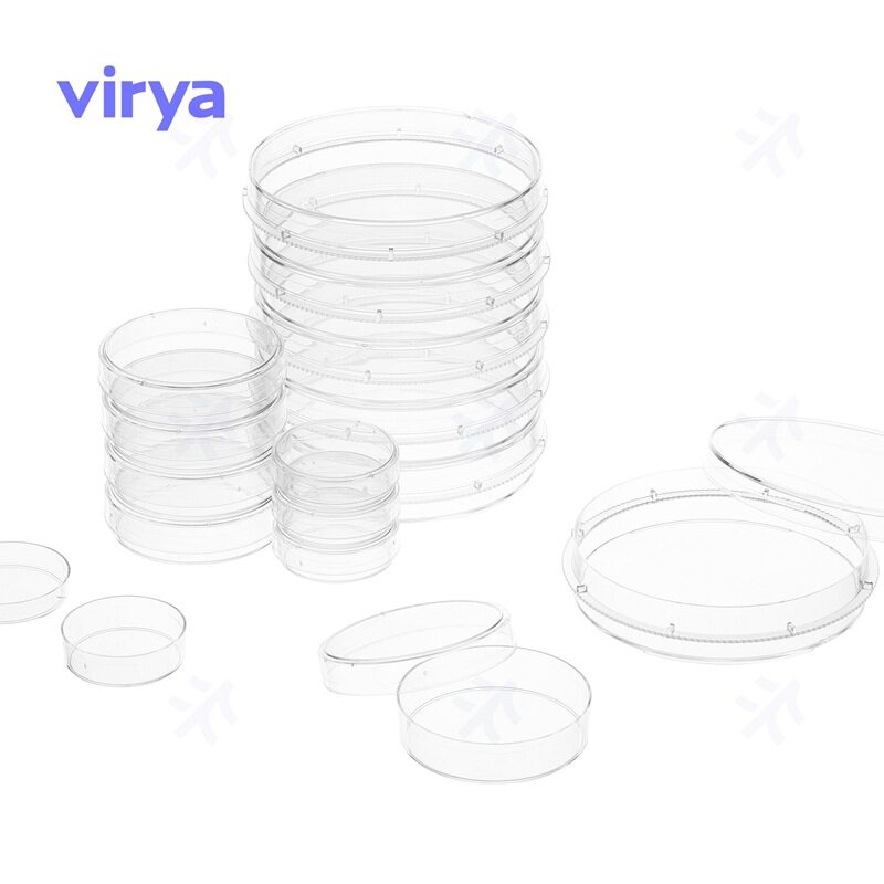 Virya 细胞细菌培养皿聚苯乙烯高透明 TC处理无热源 60mm 3500606