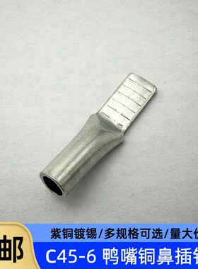 C45-6/10/16/25/35平方光伏空开插针插片接线端子鸭嘴鼻子铜端子