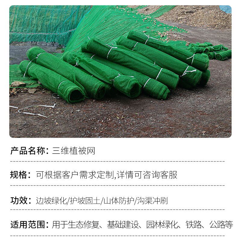 三维植被网绿化植草网边坡固土三维土工网垫护坡生态绿色植被网