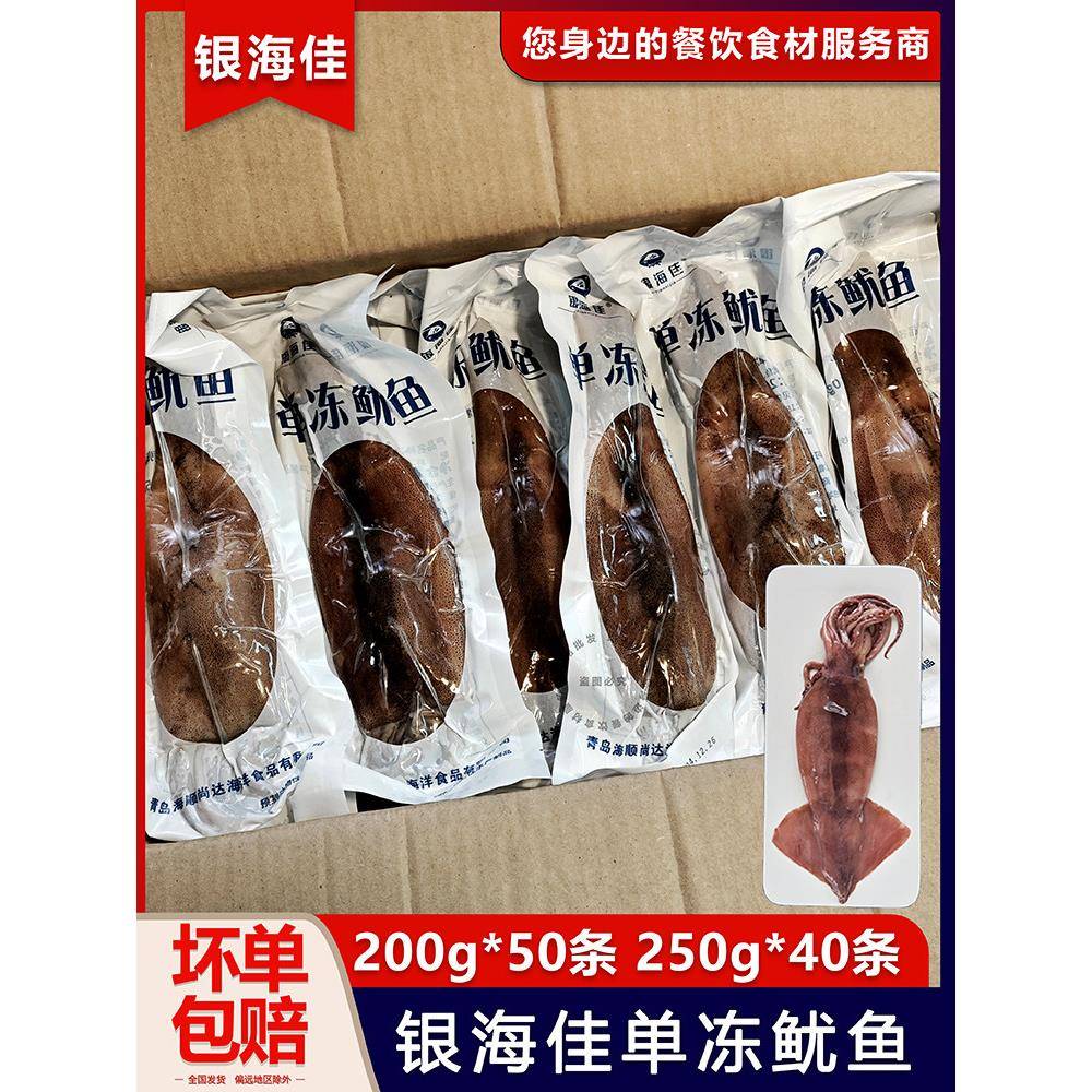 整箱银海佳单冻鱿鱼原祇去内脏铁板烧烤火锅鱿鱼筒10kg约40~50祇