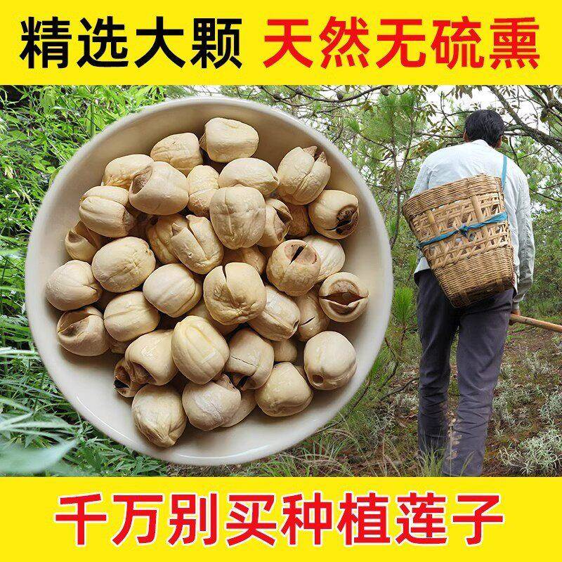 山里野生白莲子干货特级去芯中药材250g可搭百合官方经营店带芯