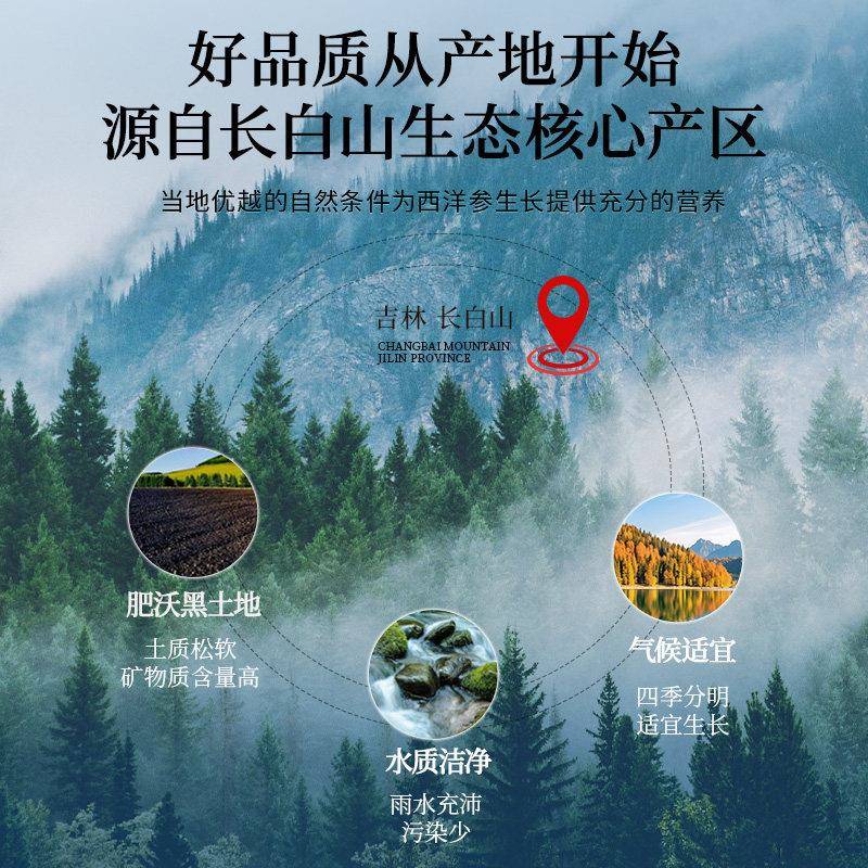 雷允上长白山西洋参100g礼盒装 官方正品送礼首选泡水花旗参片