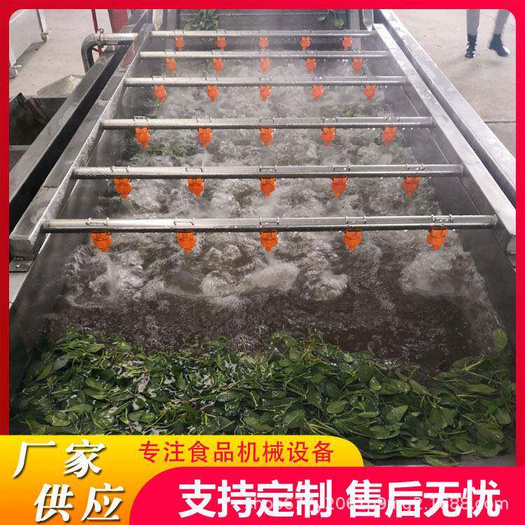 大型果蔬清洗机酸菜清洗机商用洗菜机油麦菜娃娃菜气泡清洗机