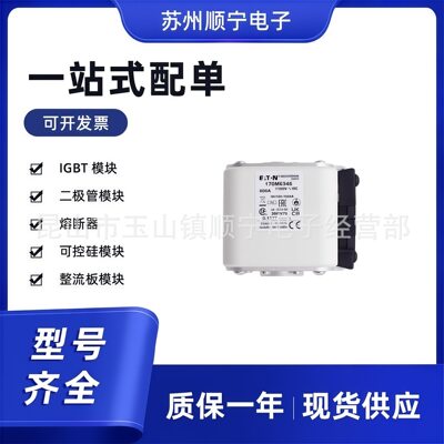 170M6346  170M6347  170M6348 熔断器保险丝 全新原装 型号齐全
