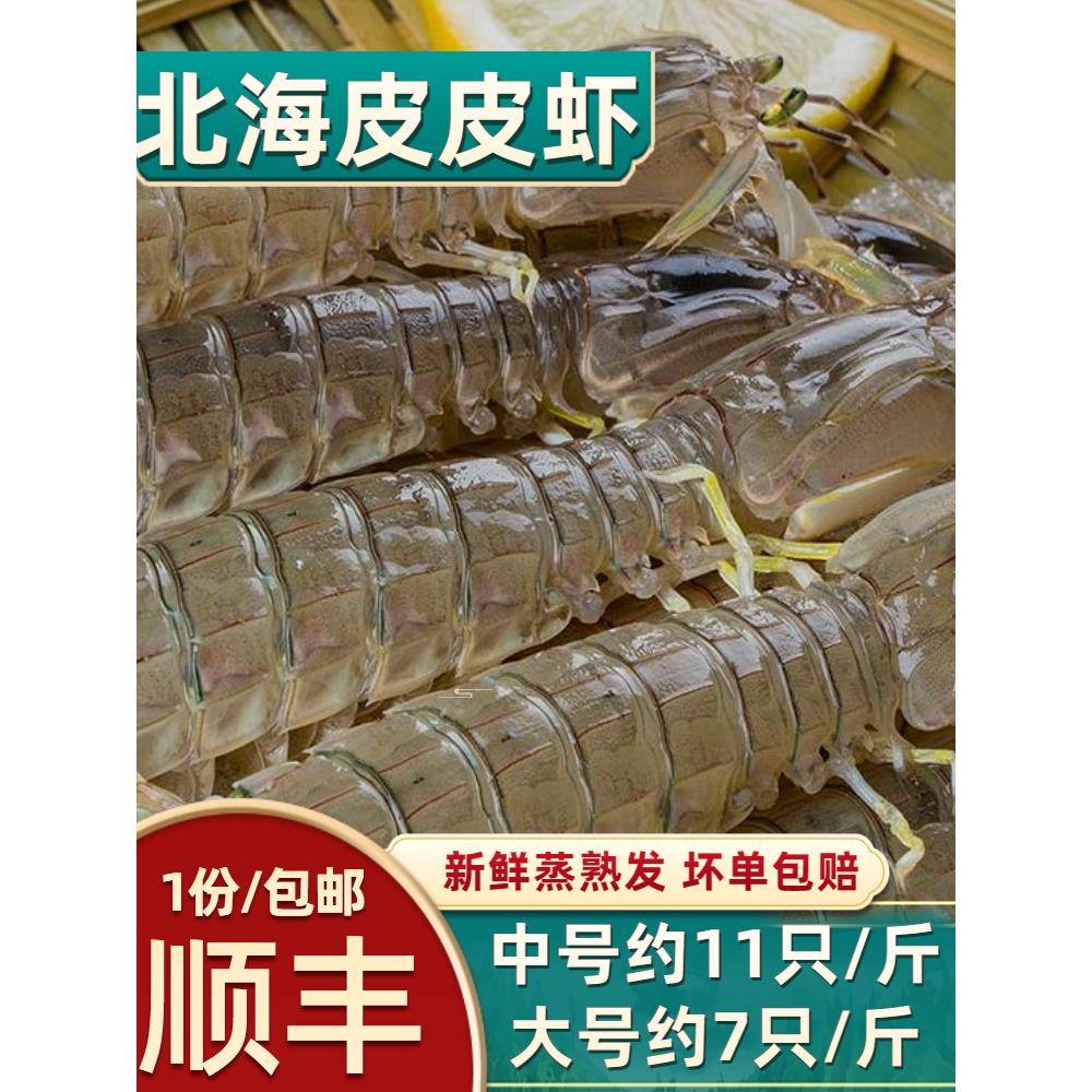 皮皮虾鲜活特大超大海鲜水产琵琶虾虾爬子新鲜北海濑尿虾蒸熟发货