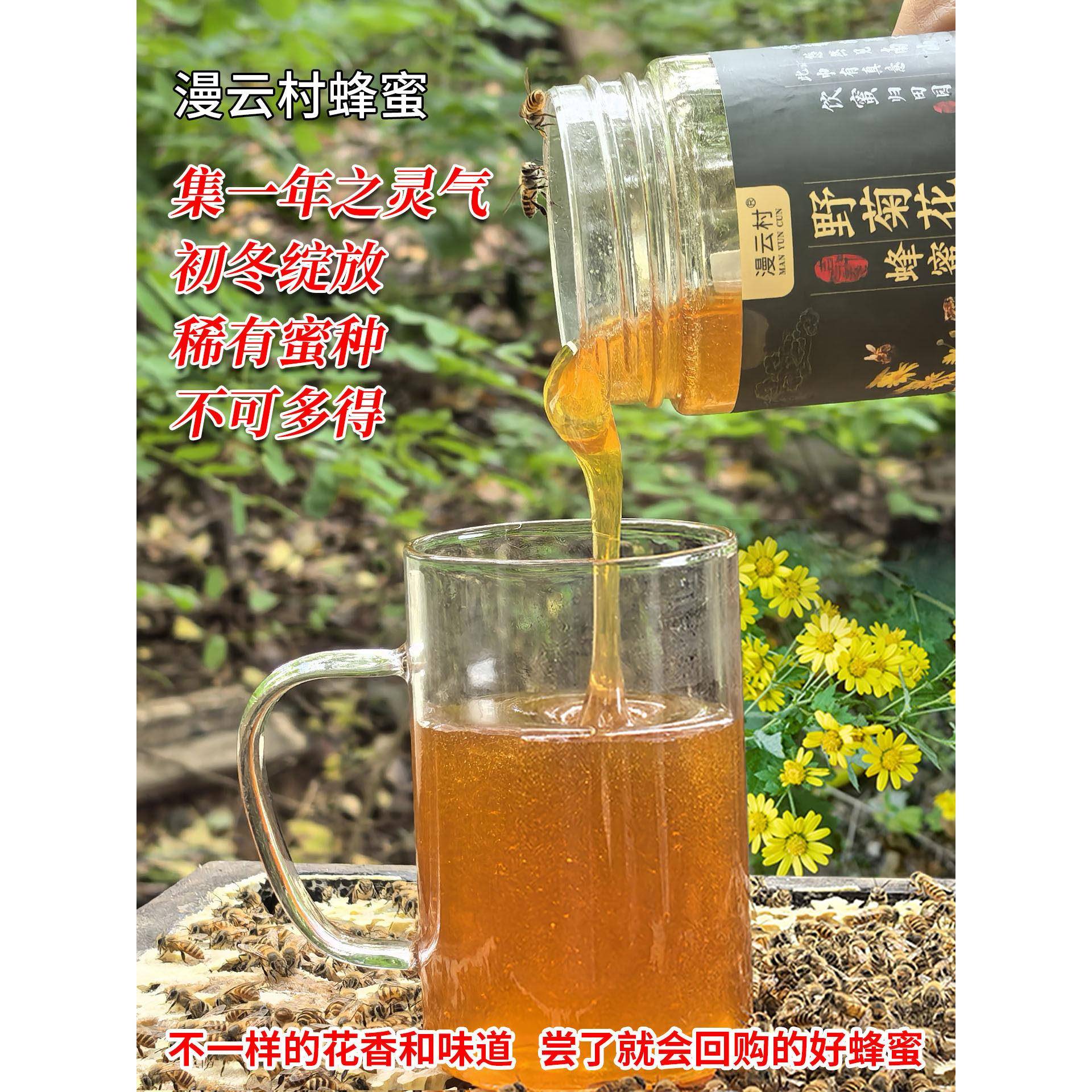 野菊花蜂蜜稀有蜜种农家自产无添加高活性自然成熟纯真野菊花冬蜜