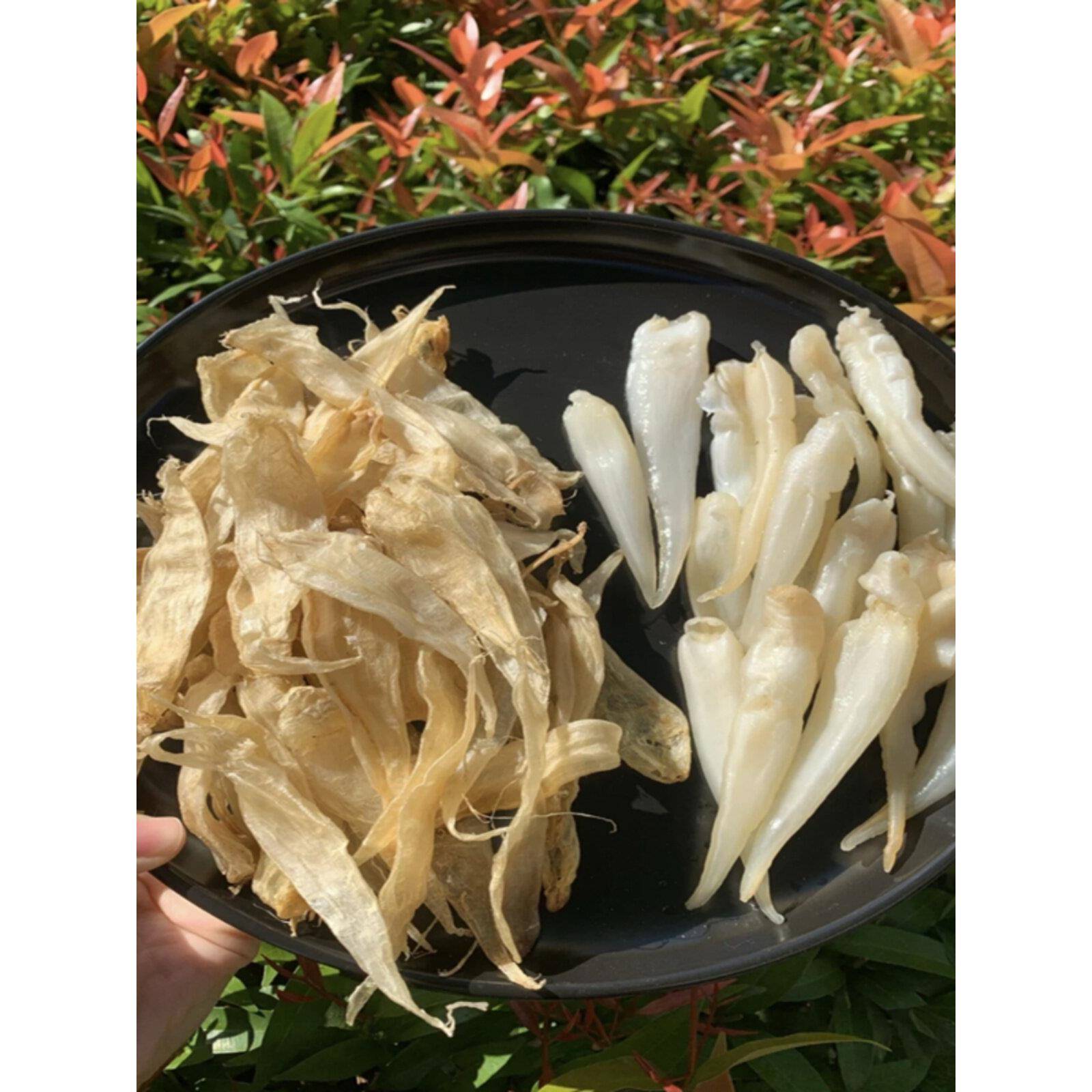 豆仁鱼胶,野生鱼肚,深海鱼肚,炖鱼肚汤,孕妇滋补品,更柔软,