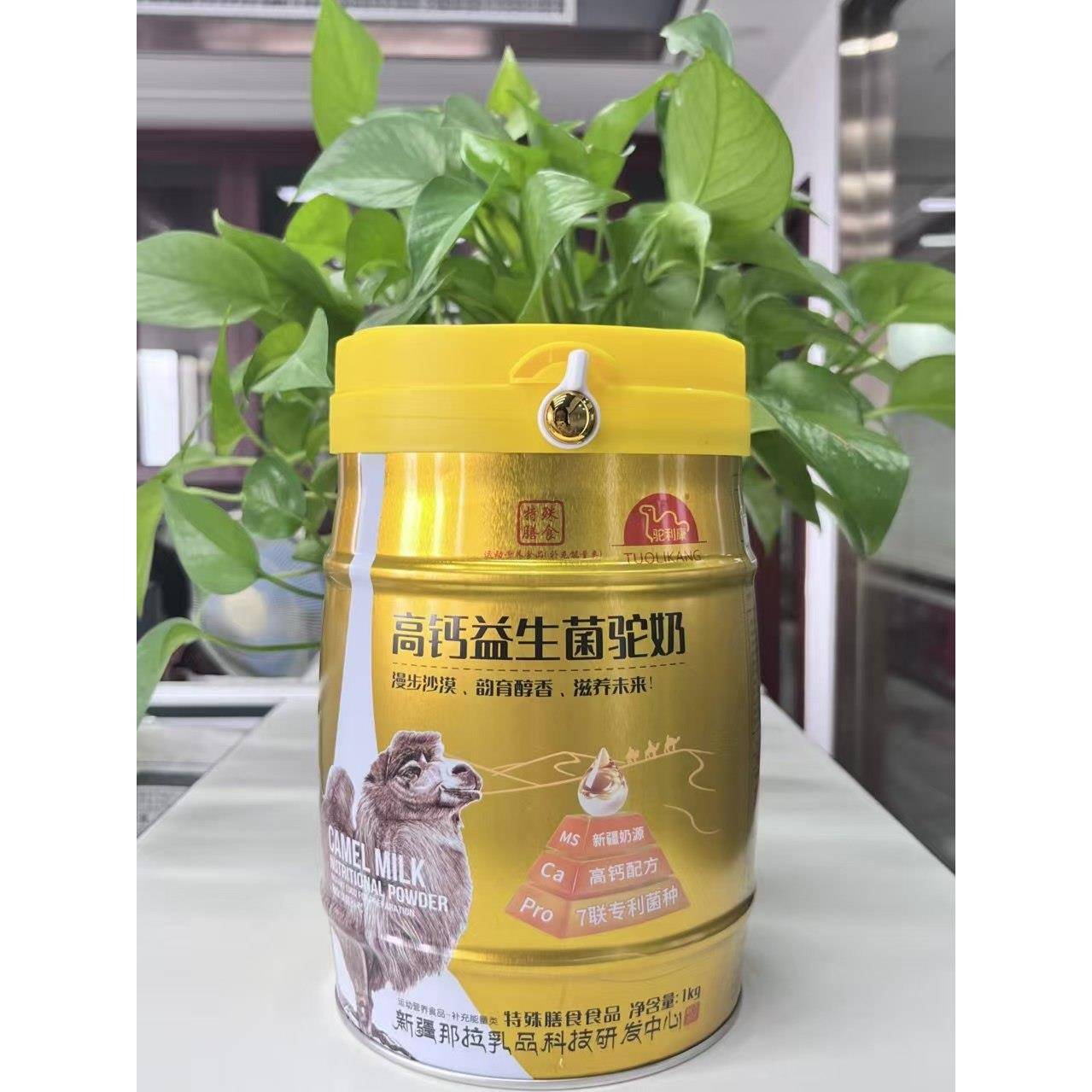每舒驼利康益生菌高钙骆驼奶 新疆奶源成人学生中老年人正品
