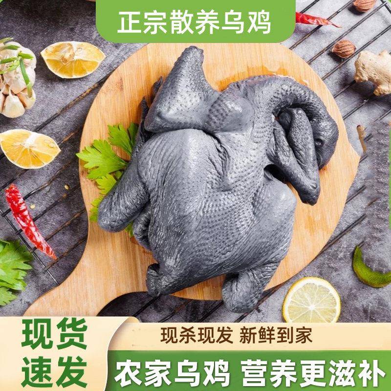 乌骨鸡新鲜现杀农家散养白羽乌骨鸡整只炖汤滋补1050g/祇