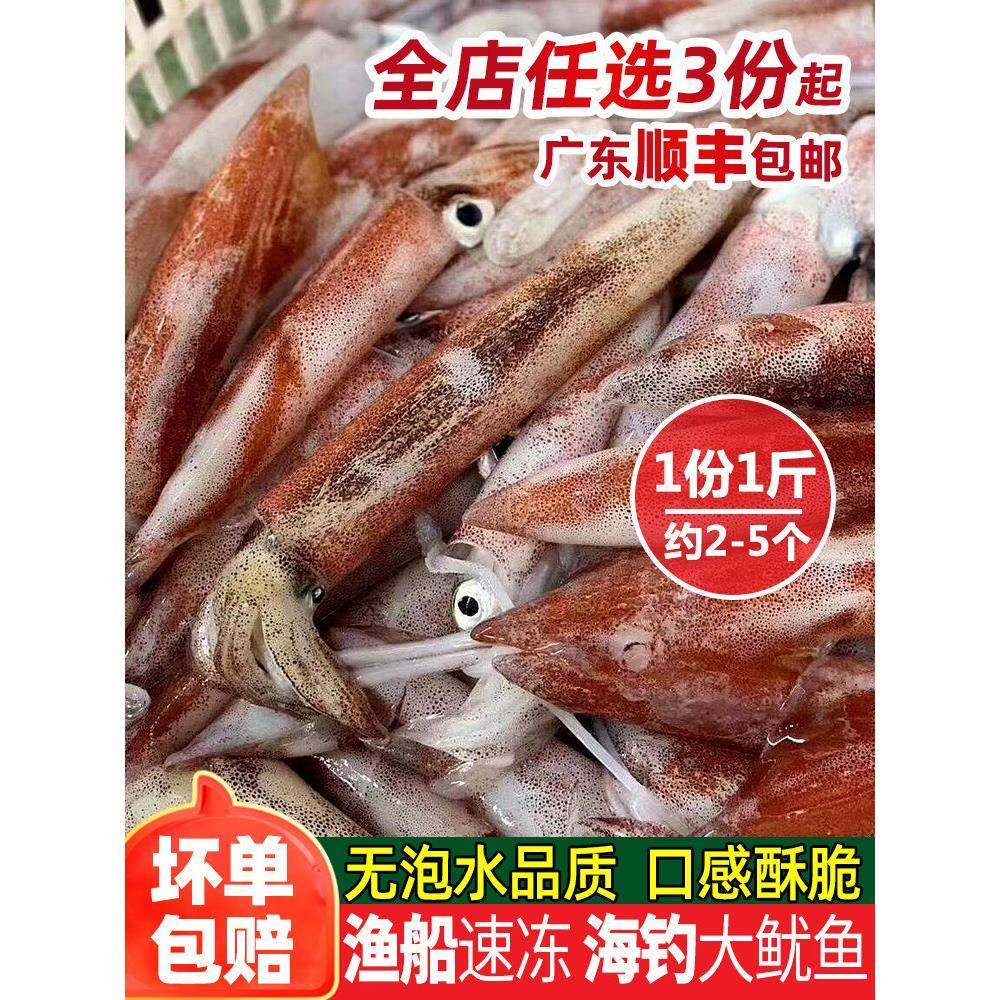 海钓大鱿鱼无泡水鲜活冷冻海鲜小大枪乌贼章鱼海兔子新鲜大笔管鱼