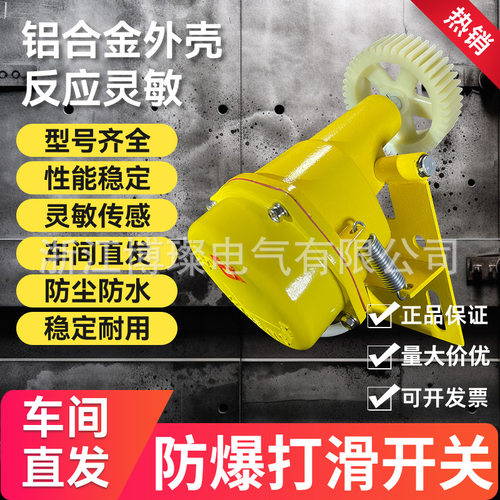 防爆打滑开关检测器EXDH-III XLDH-I JDK-I粉尘防爆A21区速度检测