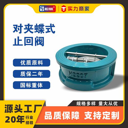 H77X-16Q蝶式止回阀球墨铸铁倒流防止器Butterfly Check Valve