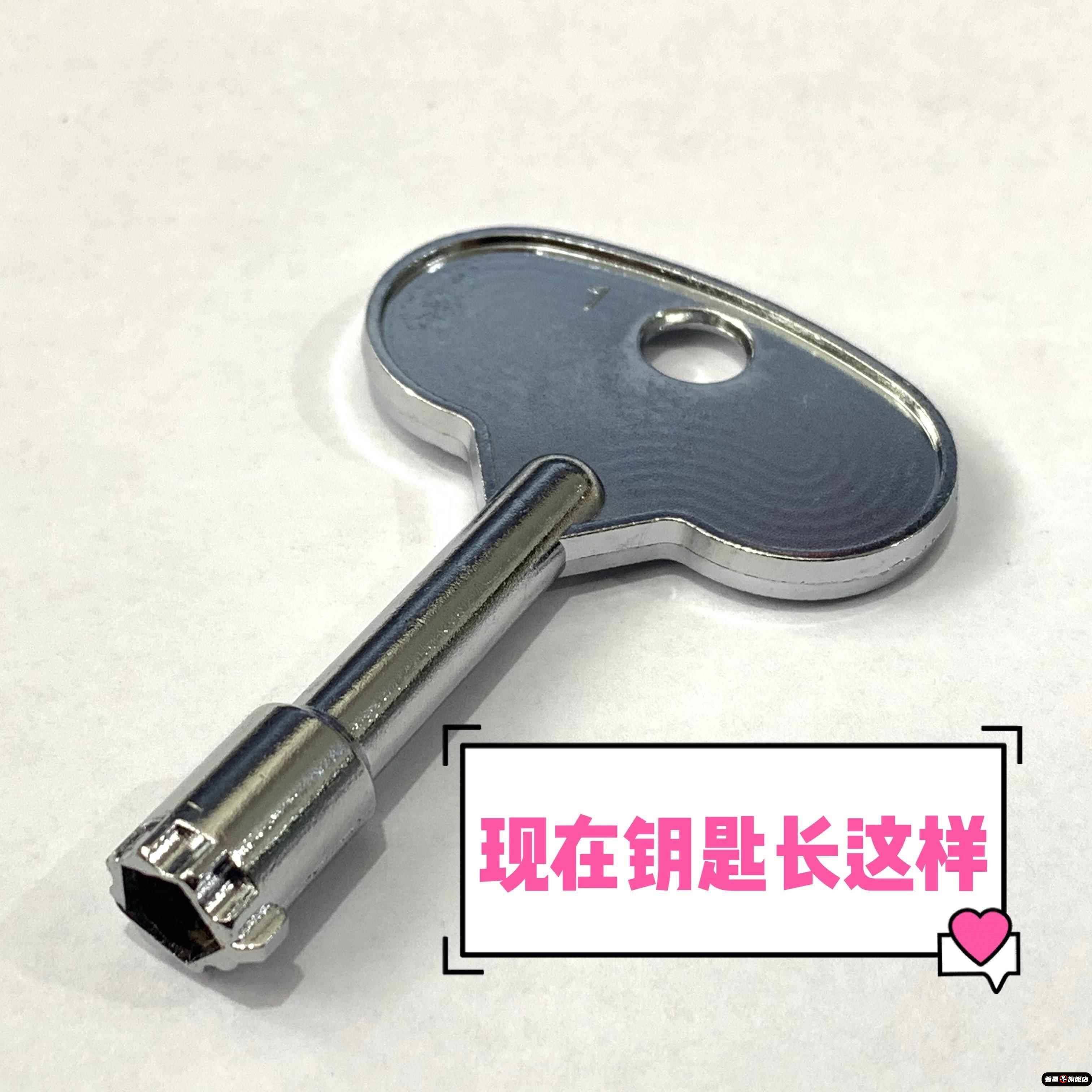 上海电力电表箱内五角钥匙 电表箱钥匙电能计量箱钥匙 五角锁钥匙图片