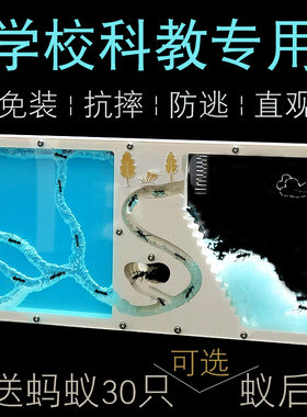 学生专用蚂蚁工坊 城堡 幼儿园儿童宠物庄园 老师科普教学蚁巢屋