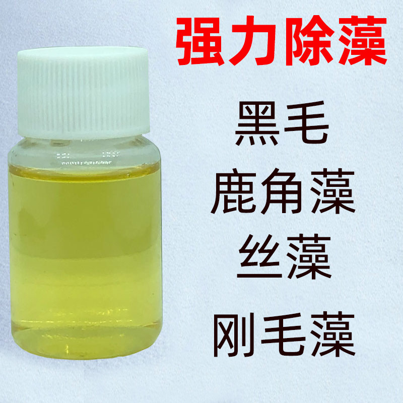 玩家推荐 水草缸黑毛除藻剂 52 灭藻剂 鹿角藻 丝藻 刚毛藻