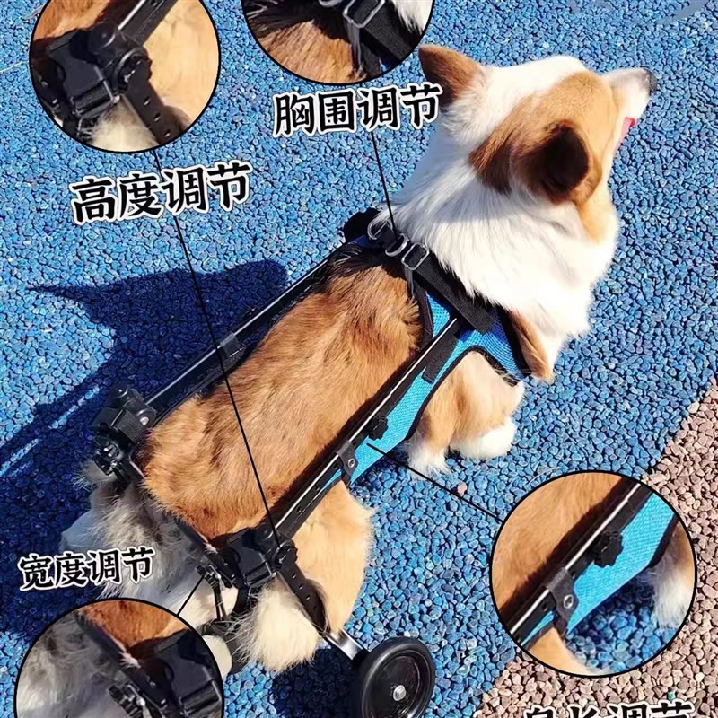 狗轮椅后肢瘫痪康复小型犬代步残疾车猫辅助泰迪宠物狗狗后腿支架