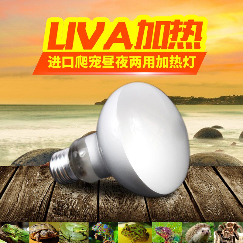 爬宠太阳灯uva加热乌龟晒背灯睫角守宫鬃狮蜥蜴角蛙树蛙吧保暖灯