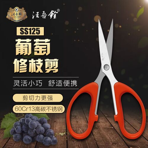 汪吾铨葡萄修果专用剪刀疏果稀果采果剪采摘嫩芽修枝剪刀铆钉调松