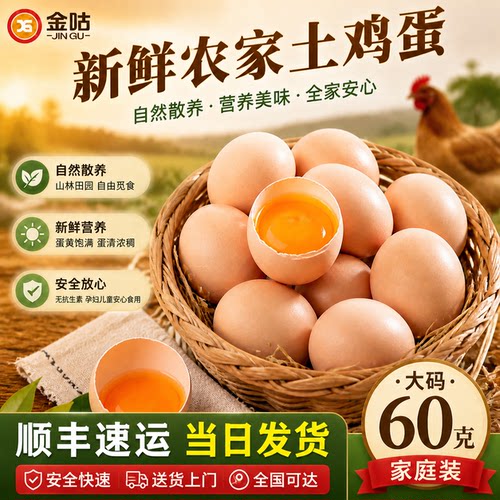 60-65克农家土鸡蛋·顺丰送上门