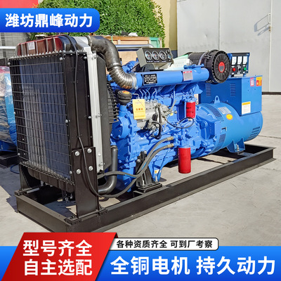 潍坊150kw柴油发电机 养殖场停电备用30KW50kw100KW200千瓦三相电