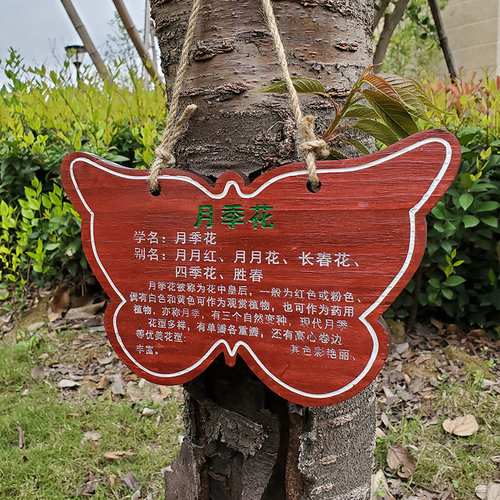 树木树铭牌户外实木树牌定制绿化植物标识牌挂式公园花草介绍挂牌
