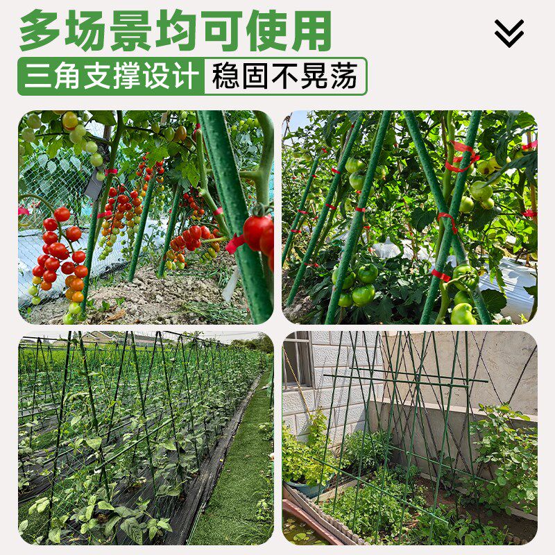 番茄爬藤架黄瓜葡萄蔬菜架杆爬藤植物固定架楼顶种菜支架菜园搭架