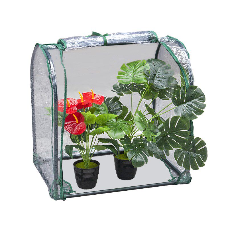 家用植物暖房花房温室多肉绿萝防冻保温保湿楼顶阳台花卉育苗暖棚