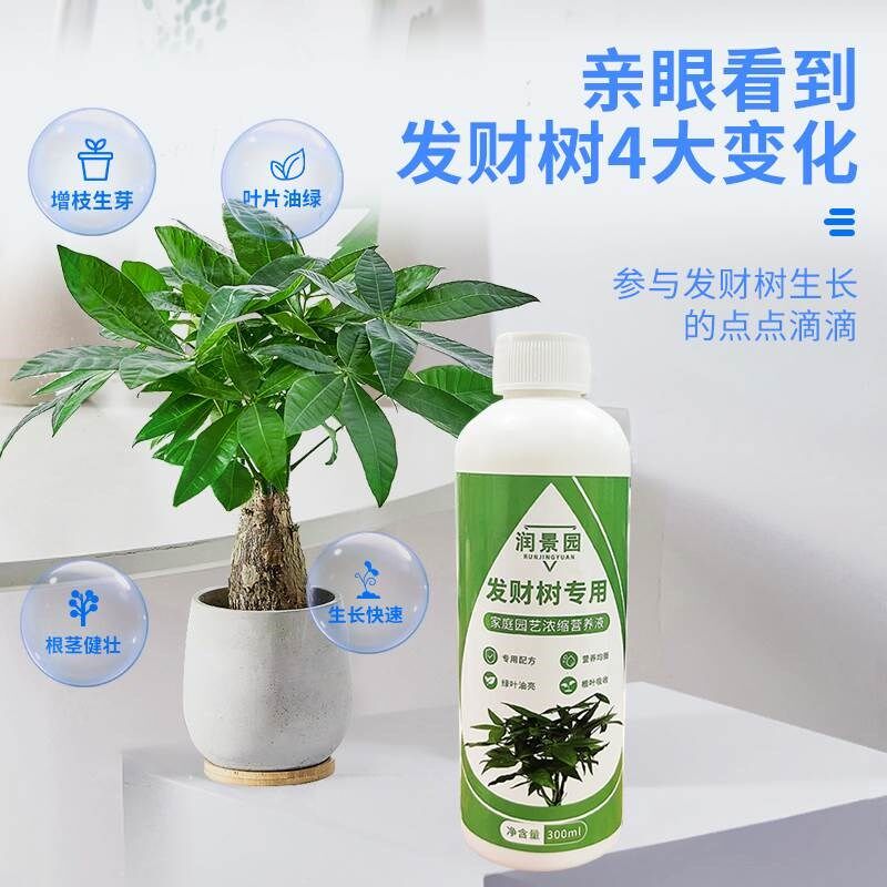 润景园发财树专用家庭园艺浓缩营养液促进生长绿叶免稀释液体肥料