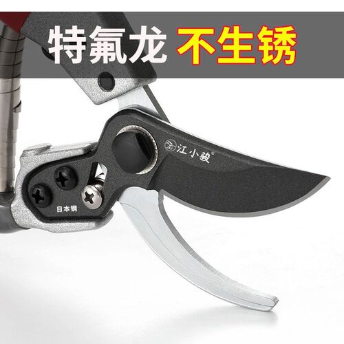 剪树枝专用剪子新款修枝剪江小骏新款钢果树粗枝剪子家用修花剪刀