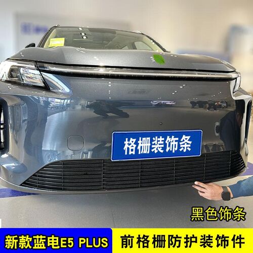 蓝电E5plus中网外观改装防虫网前格栅专用防护网装饰汽车用品配件