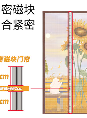 小门夏季防蚊门帘卧室家用磁性纱门纱窗加密免打孔蝇虫防尘儿童房