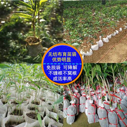 育苗袋无纺布营养袋加厚种植袋白色营养钵一次性花盆可降解容器杯