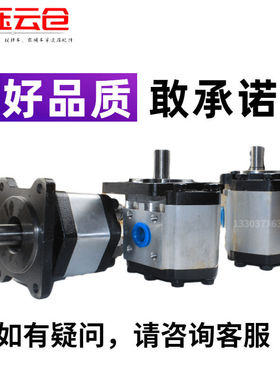 侧翻自卸车齿轮泵FC5100 2100 580 563 550 80系列重汽豪沃齿轮泵