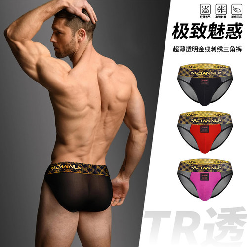 2件装TR透明金线刺绣男士三角裤