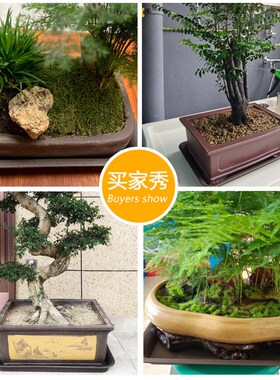 加厚加宽磨砂长方形红色黑色花盆托盘底托紫砂盆景接水盘盆栽托盘