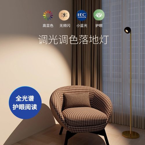 凯信客厅卧室落地灯立式全光谱护眼氛围灯沙发灯旁边灯极简设计师