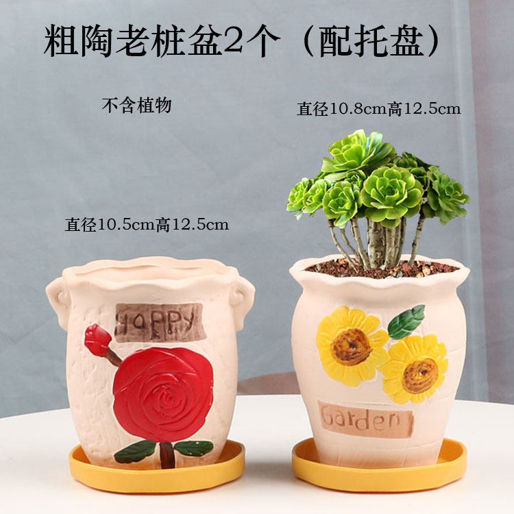 多肉花盆陶瓷圆形简约创意个性透气室内家用小绿植盆栽摆件带托盘