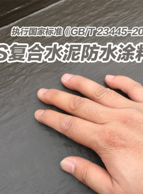 莱仕德JS聚合物水泥基防水涂料屋顶防水材料卫生间外墙补漏胶K11