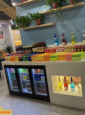 商用吧台啤酒柜冷藏柜两/三开门饮料冷藏展示柜冷柜酒吧KTV矮冰箱