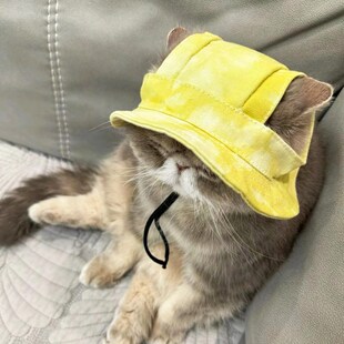 猫咪帽子狗狗夏天遮阳帽露耳朵加菲猫暹罗猫蓝猫可爱头套宠物头饰