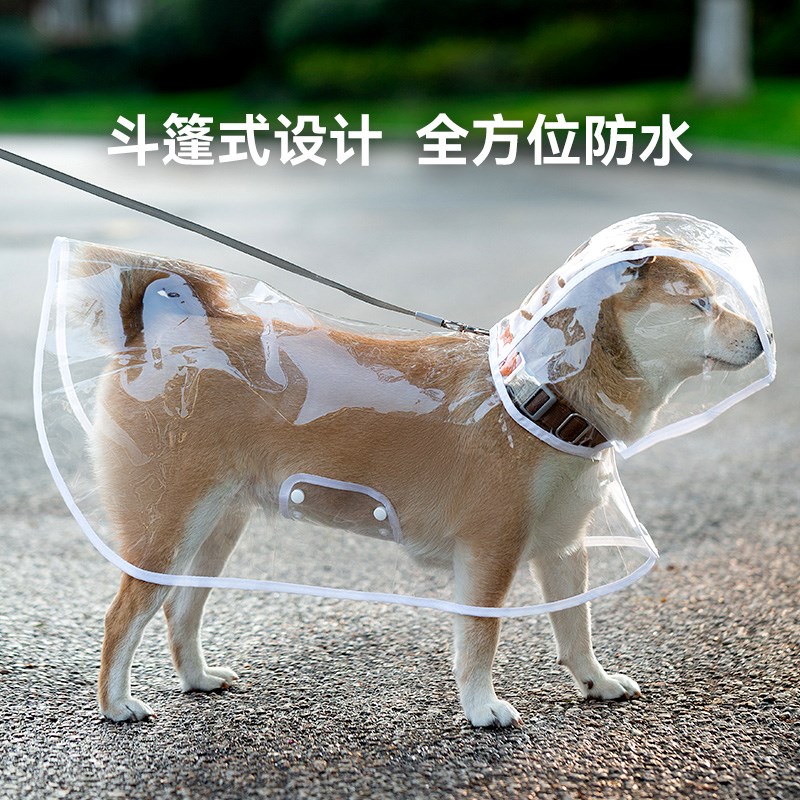 宠物小狗狗雨衣泰迪比熊中型小型犬防水透明雨披柴犬专用柯基衣服