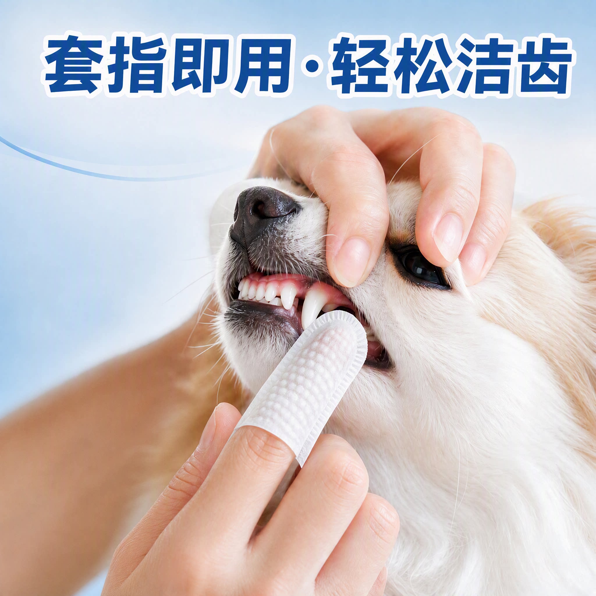 宠物牙刷替代品猫狗口腔清洁湿巾
