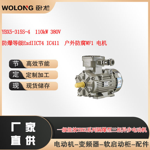 YBX5-315S-4  110kW 380V防爆等级ExdIICT4 IC411户外防腐WF电机