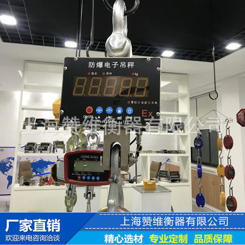 危险区域5T本安防爆电子吊秤