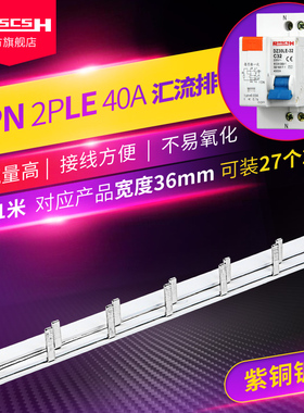 DPN/2P漏电空气开关汇流排1P+N双进双出DZ30LE-32断路器配电箱63A
