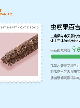 猫国 心然猫咪磨牙棒4根猫薄荷虫瘿果木天蓼洁齿零食咬棒天然逗猫