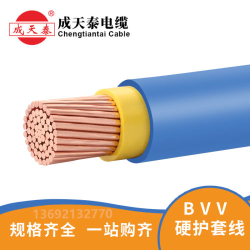 成天泰电线BVV1*300mm2铜芯双塑硬线国标保证