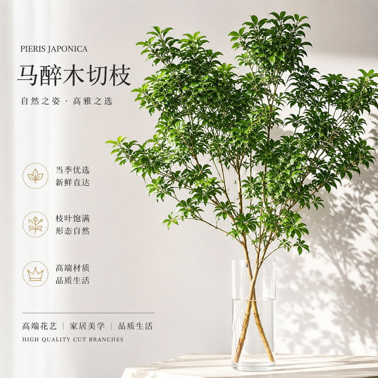 顺丰冷链云南直发易养家居鲜花